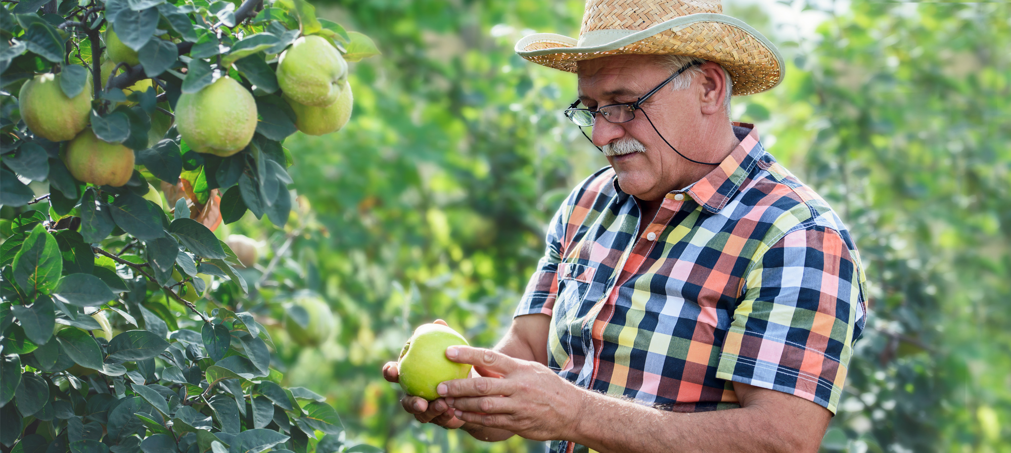 How to Break Free From a Food Rut